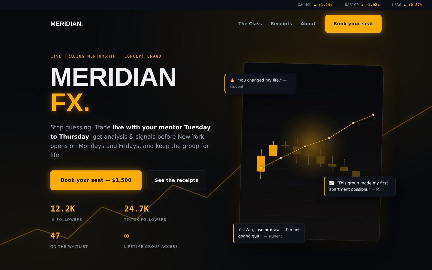 Meridian FX: trading mentor brand concept